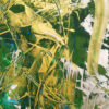 Oro Verde