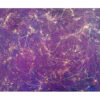 Universo