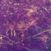 Universo